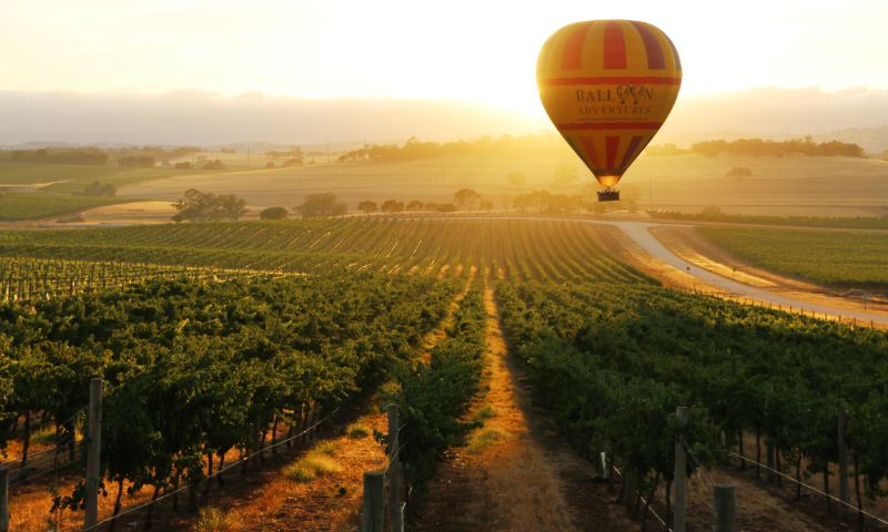 Barossa Balloon Adventures