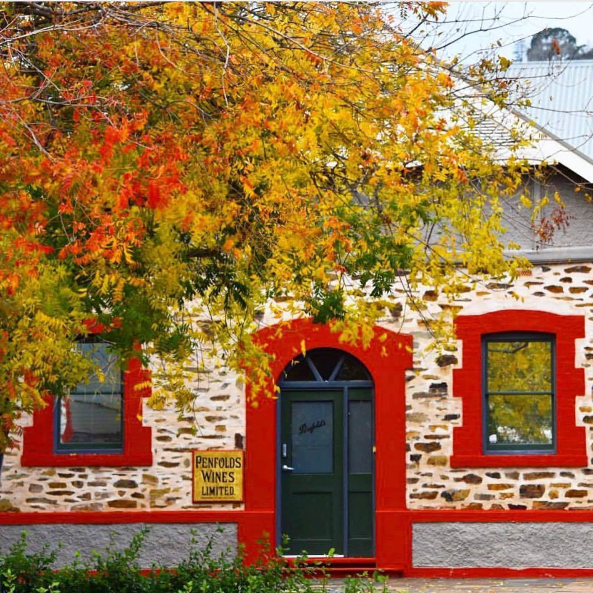 barossa valley wineries