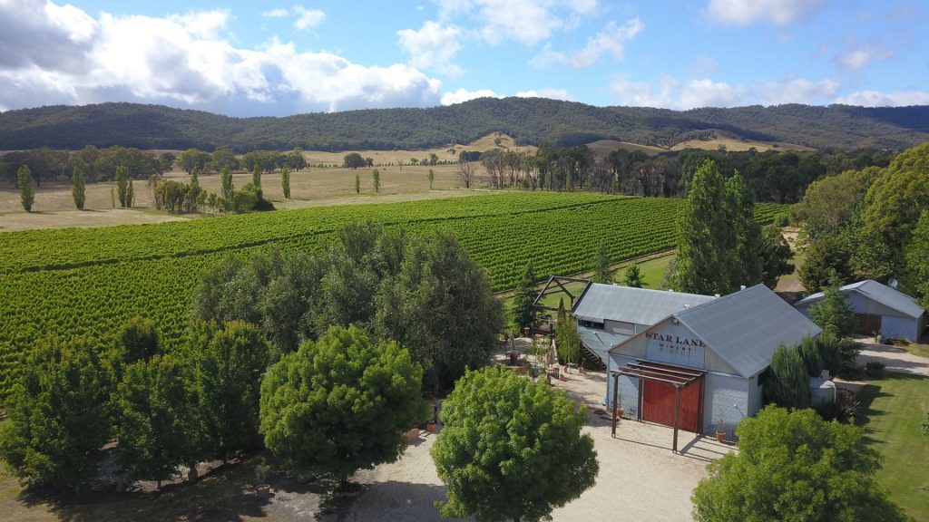 beechworth wineries