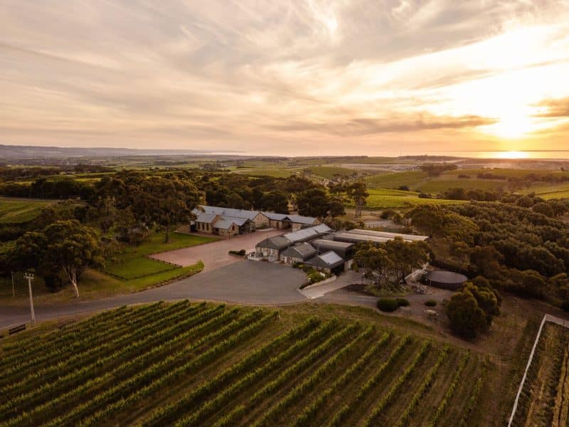 wine tours in mclaren vale