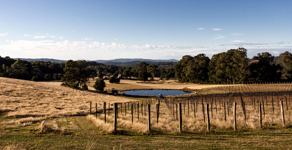 winery tours beechworth