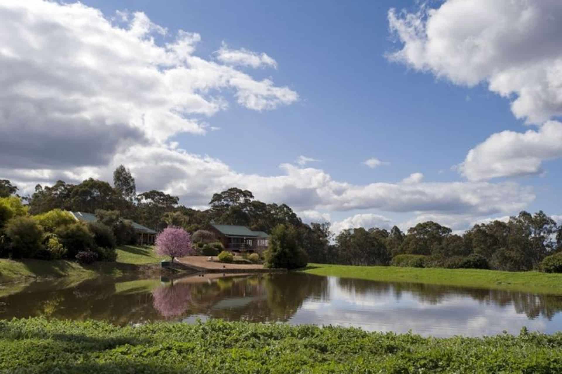 Bendigo Wineries Top 5 Cellar Doors In Bendigo