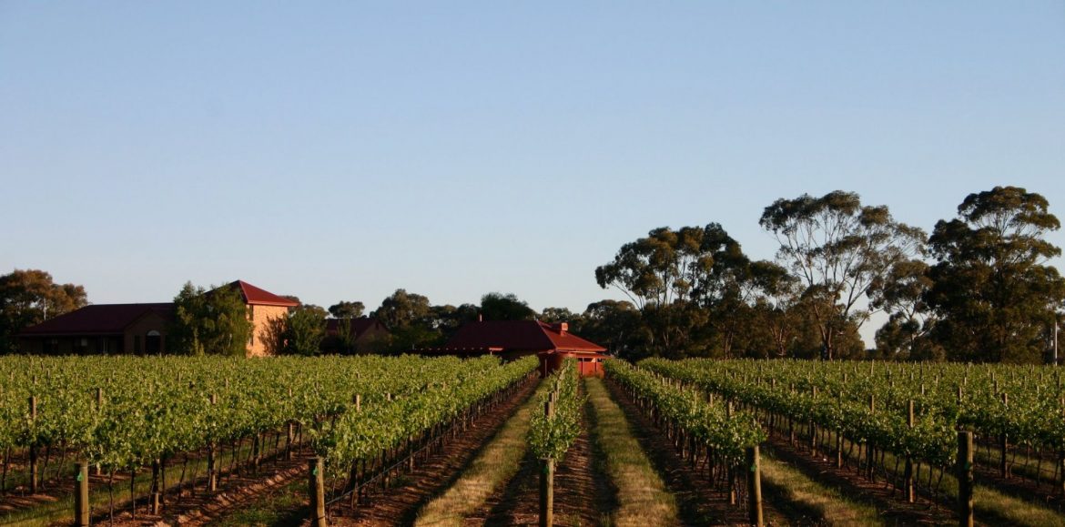 Bendigo wineries