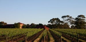 sandhurst winery bendigo