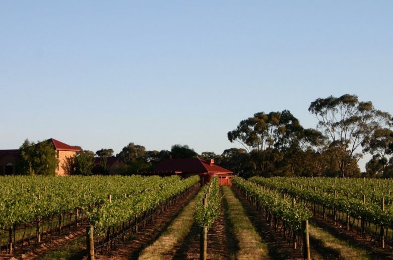 Wineries In Victoria Wine Regions Australia