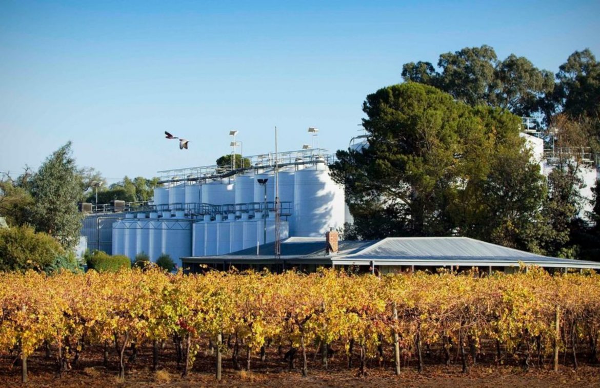 Wine Regions In Victoria The Ultimate Wine Guide Wine Regions Australia