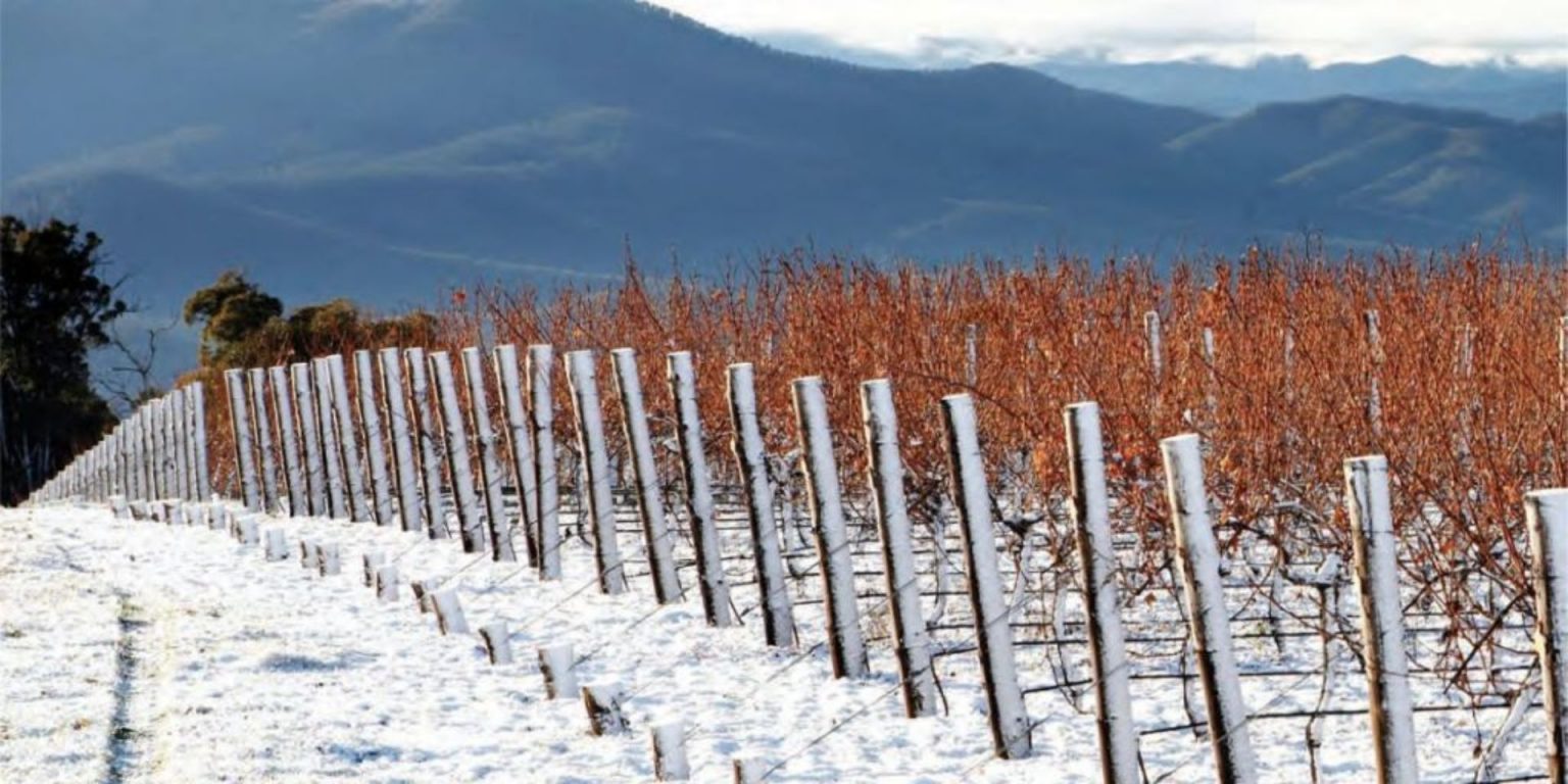 Wine Regions In Victoria The Ultimate Wine Guide Wine Regions Australia