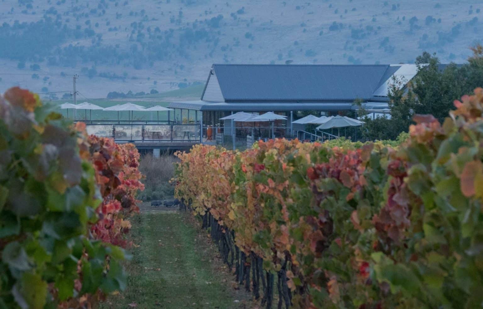 Coal River Valley Wineries The Best 5 Cellar Doors Wine Regions