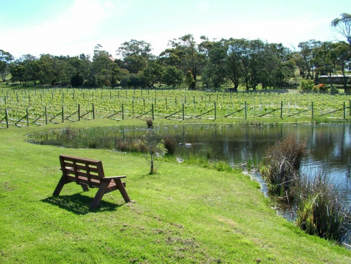 Coal River Valley Wineries The Best 5 Cellar Doors Wine Regions