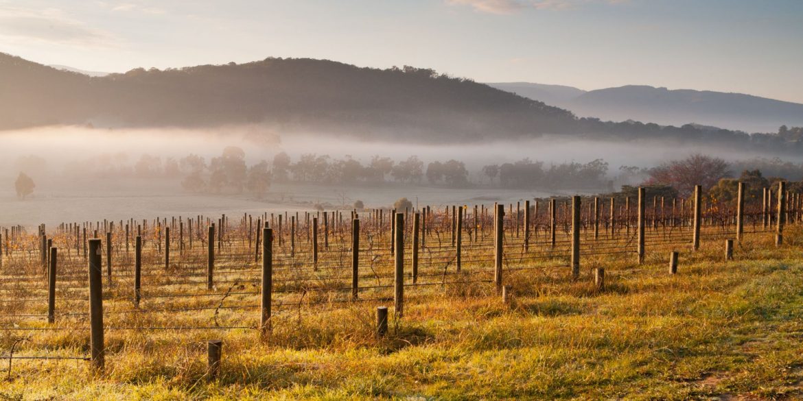 Wine Regions In Victoria The Ultimate Wine Guide Wine Regions Australia