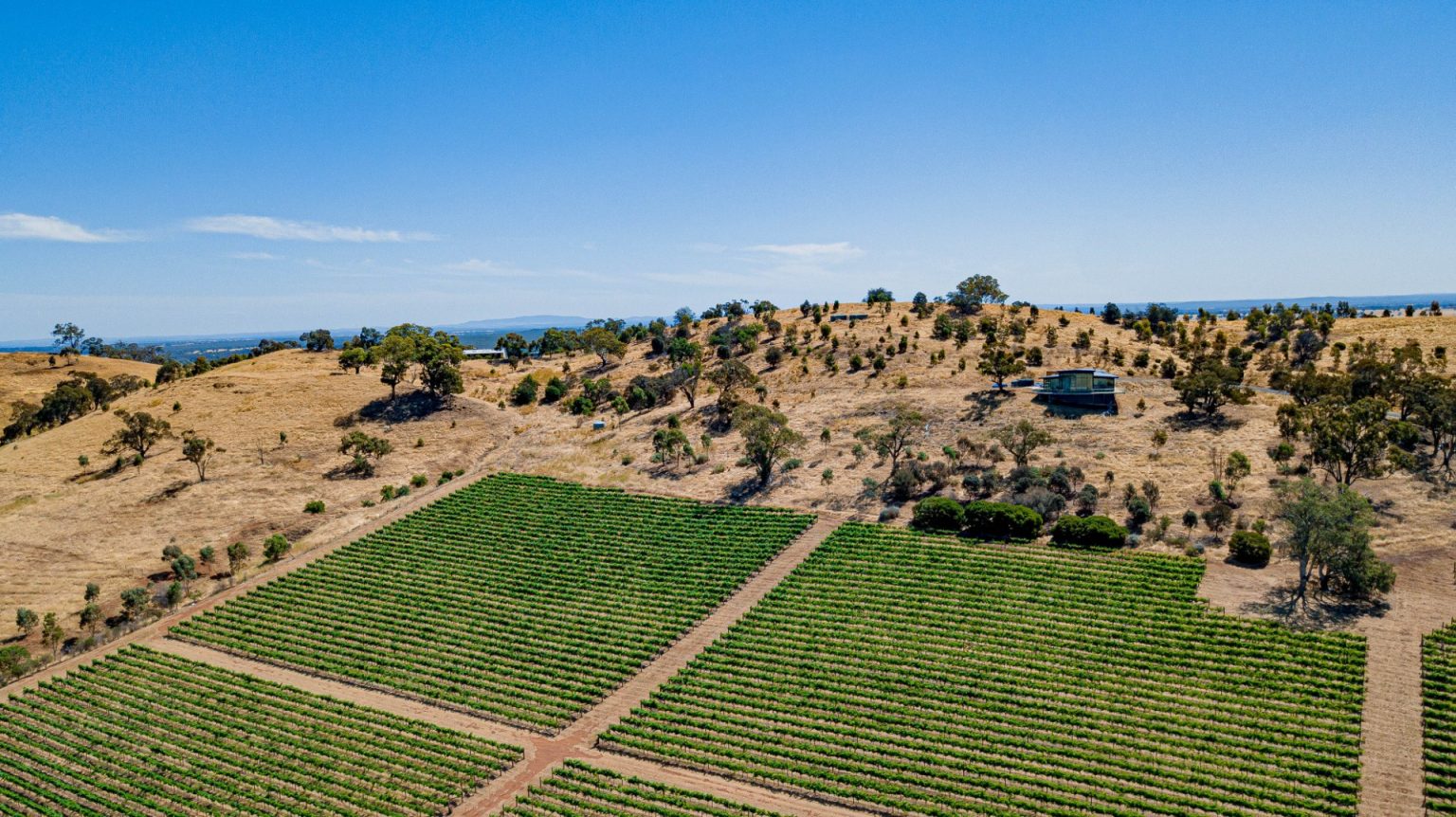 6 Heathcote Wineries That Will Float Your Boat Wine Regions Australia