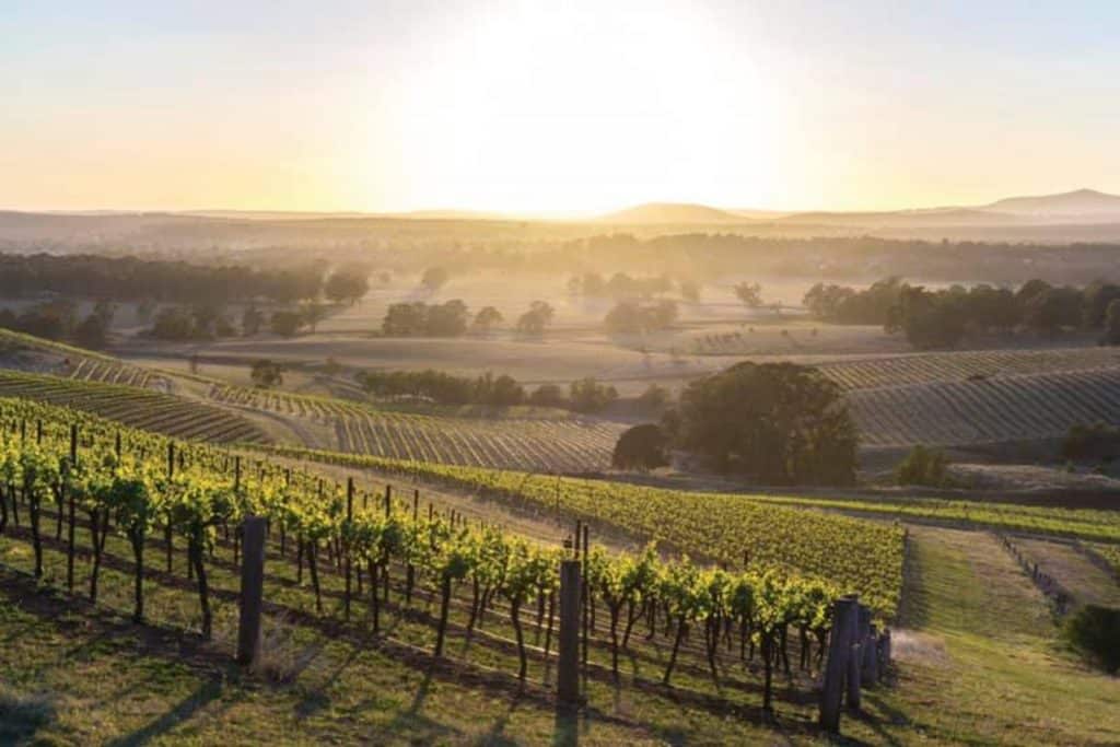 hunter valley wine tours newcastle