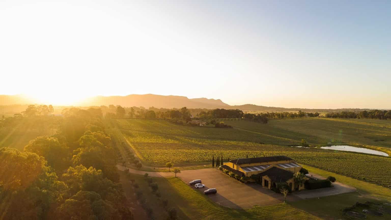 Hunter Valley Wineries The Best Cellar Doors And Wine Tours
