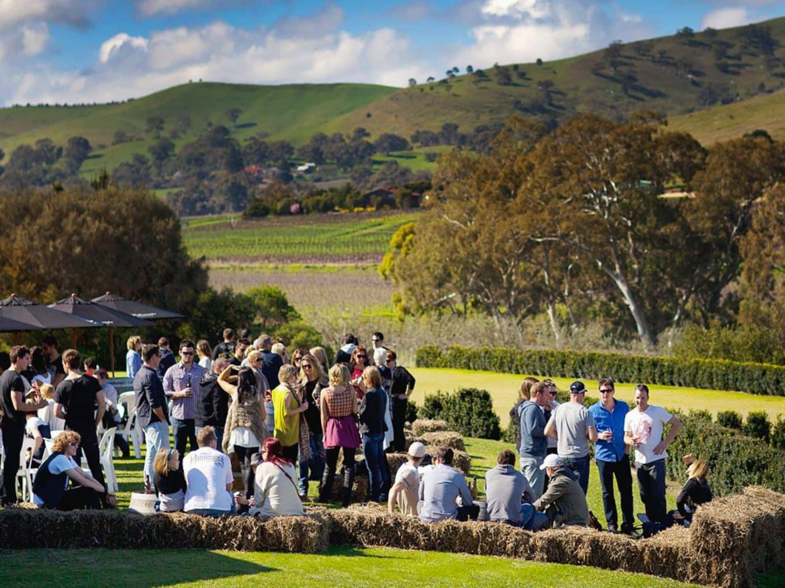 Barossa Valley Wineries Best Wineries And Wine Tours
