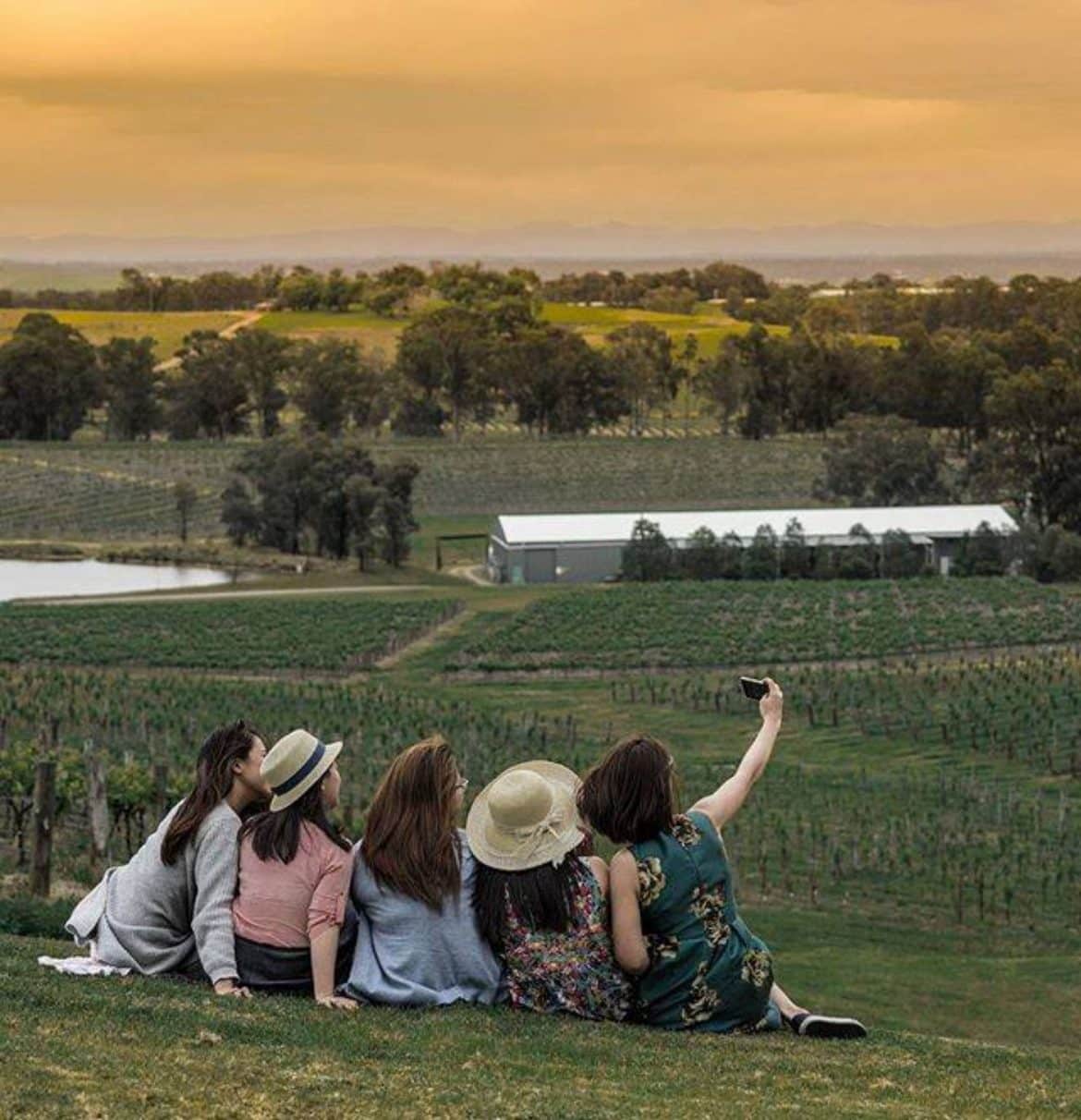 Hunter Valley Wineries The Best Cellar Doors And Wine Tours Wine