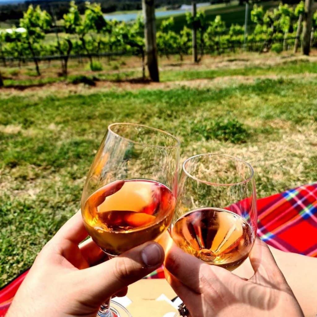 best wine tours hunter valley