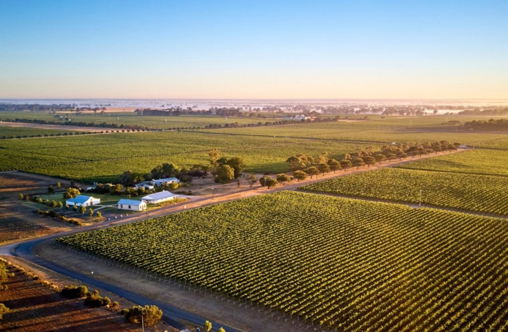 6 Wineries In Coonawarra That Will Tickle Your Fancy