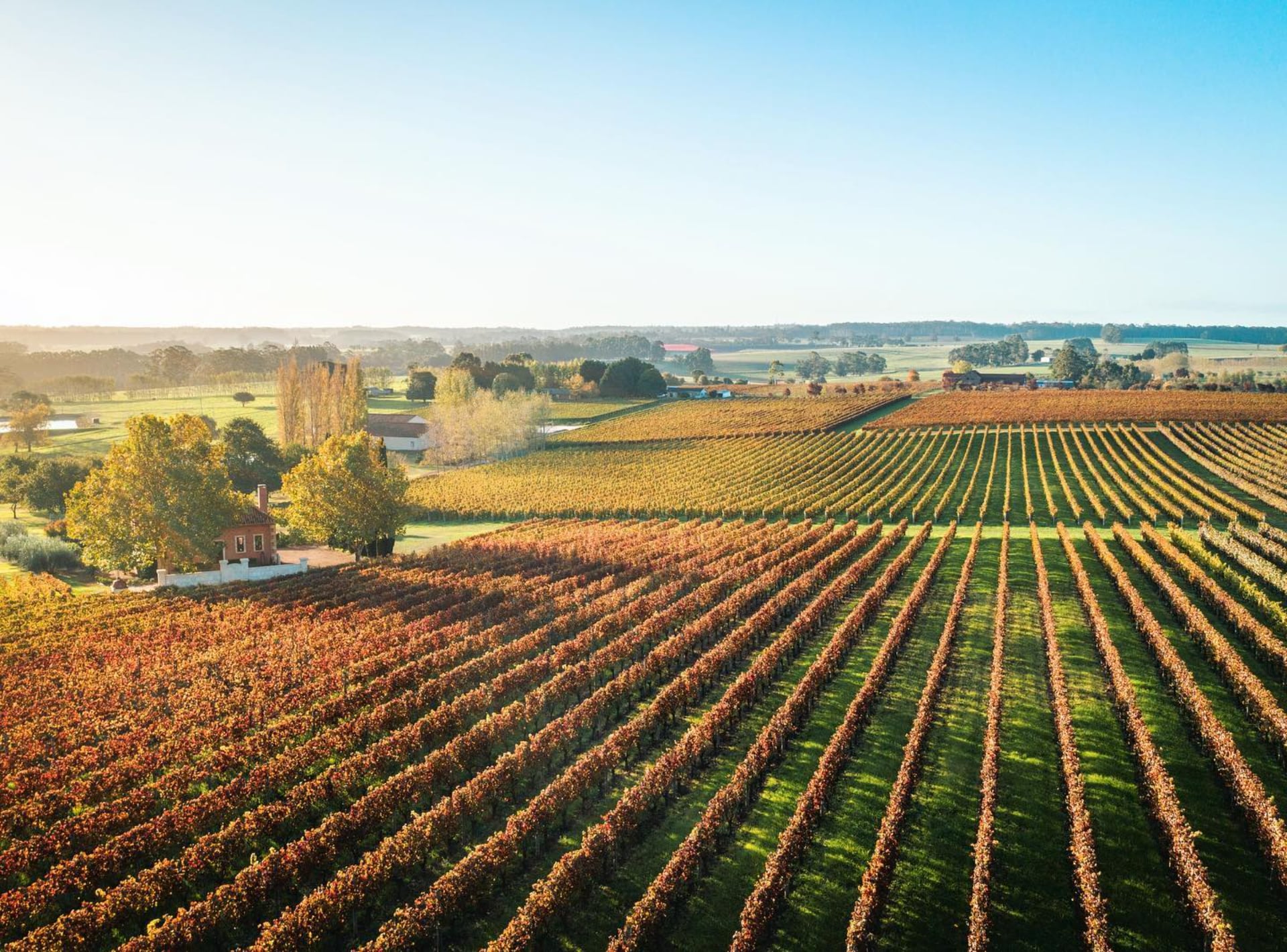 6 Of The Most Stunning Pemberton Wineries | Wine Regions Australia