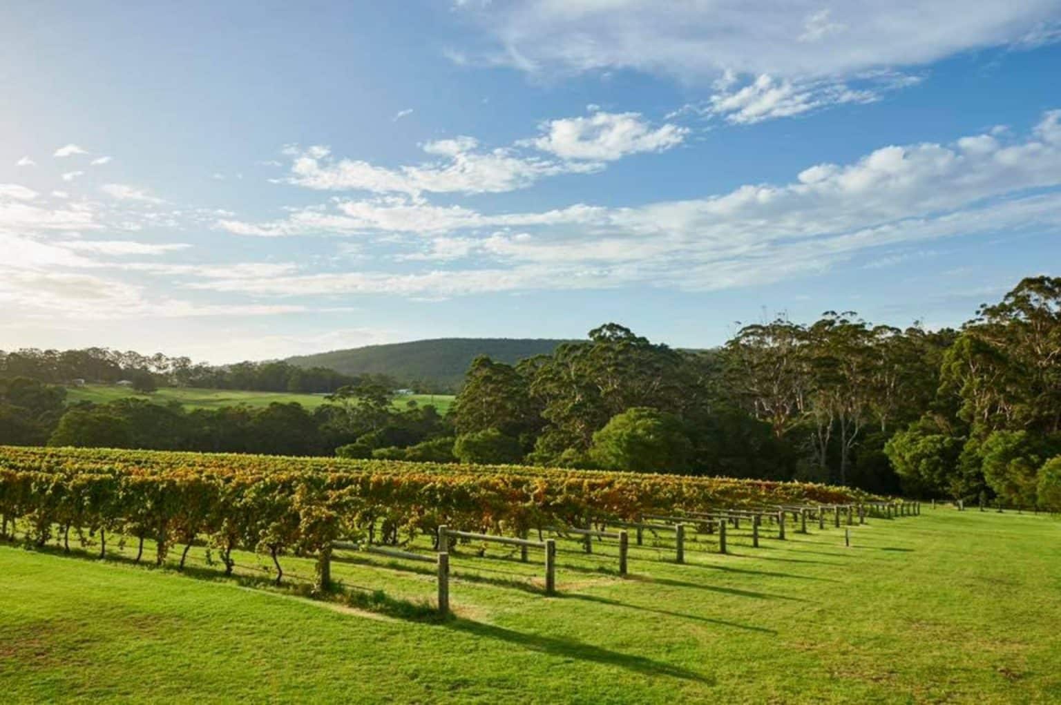 6 Denmark Wineries That’ll Get You Feeling Fruity Wine Regions Australia