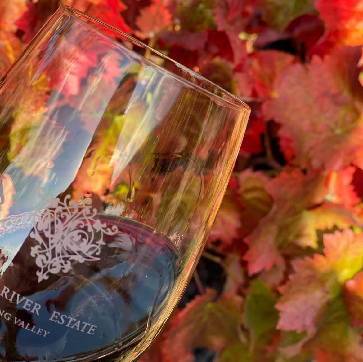 King Valley Wineries 7 Vineyards That Are 'Off Chops'