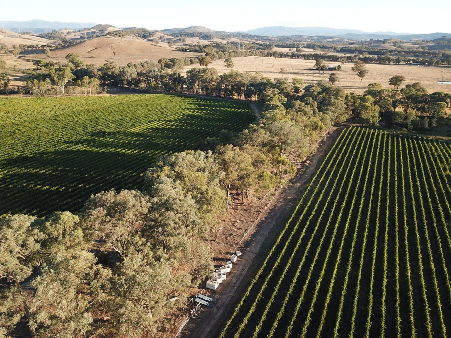 King Valley Wineries: 7 Vineyards That Are 'Off Chops'