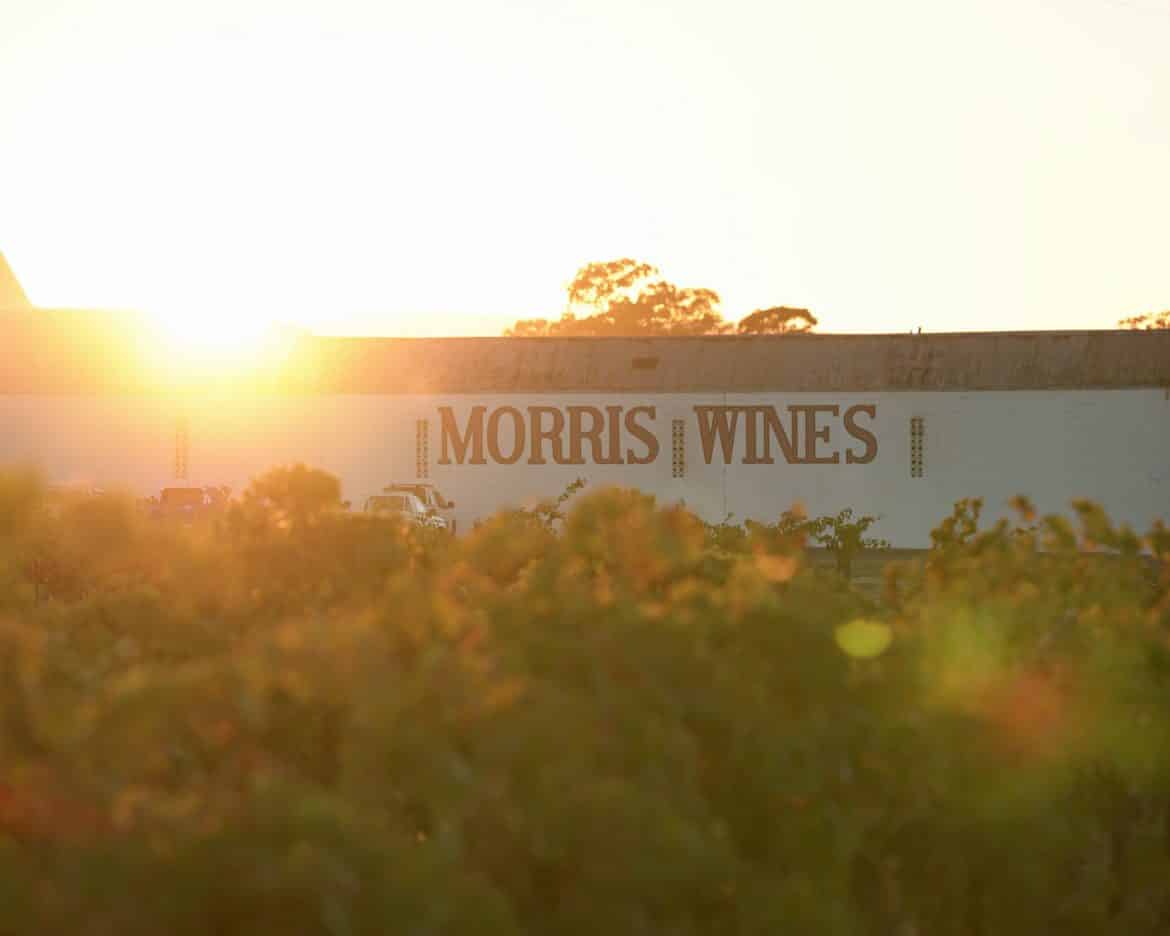 Rutherglen Wineries 7 Highly Reviewed Wineries To Visit Wine Regions