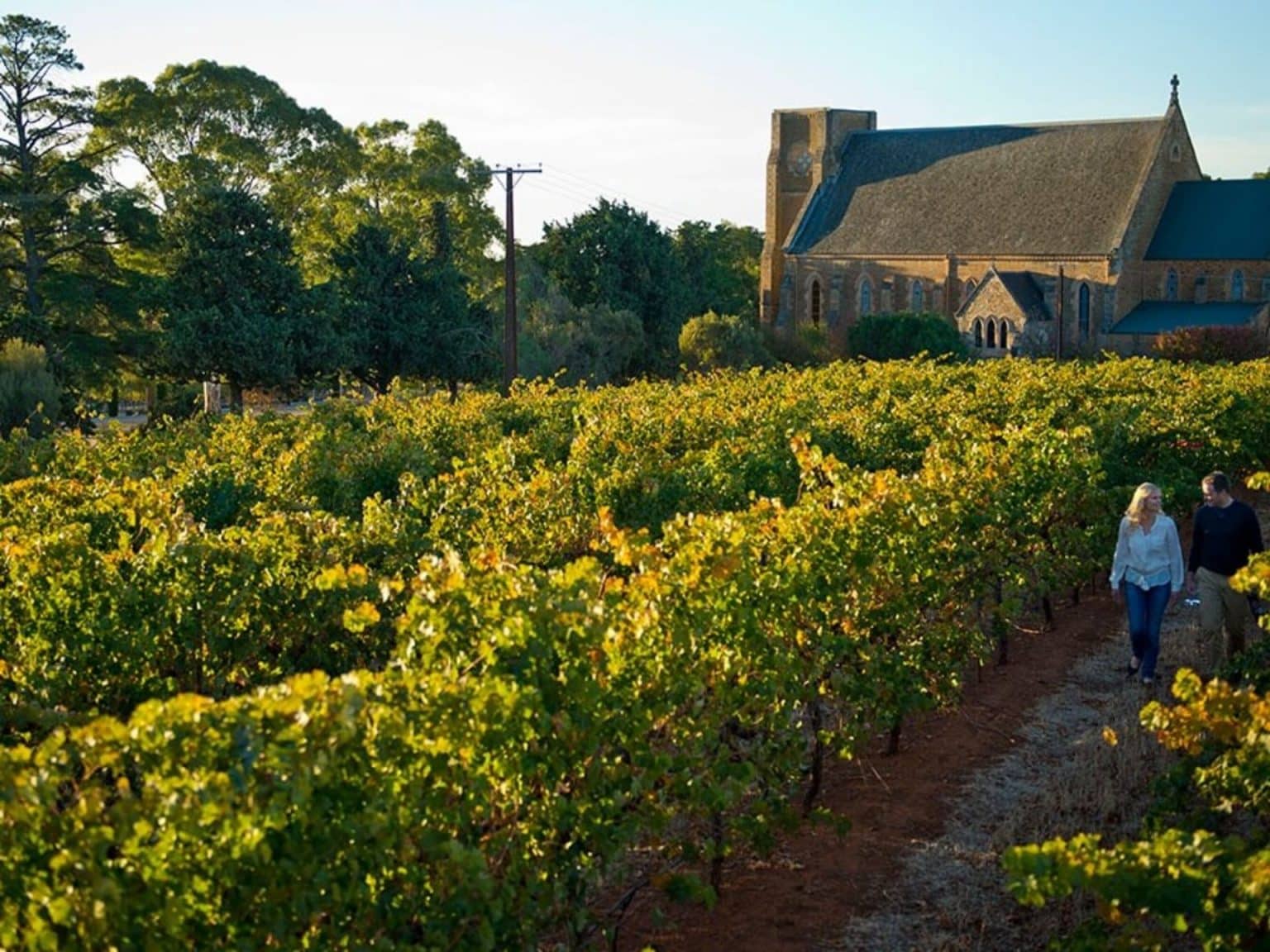 clare valley wine tours