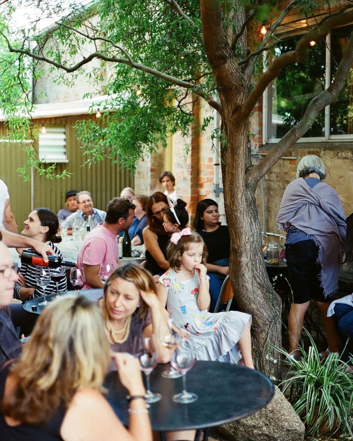 Beechworth Wineries 5 Stunning Cellar Doors Wine Regions Australia