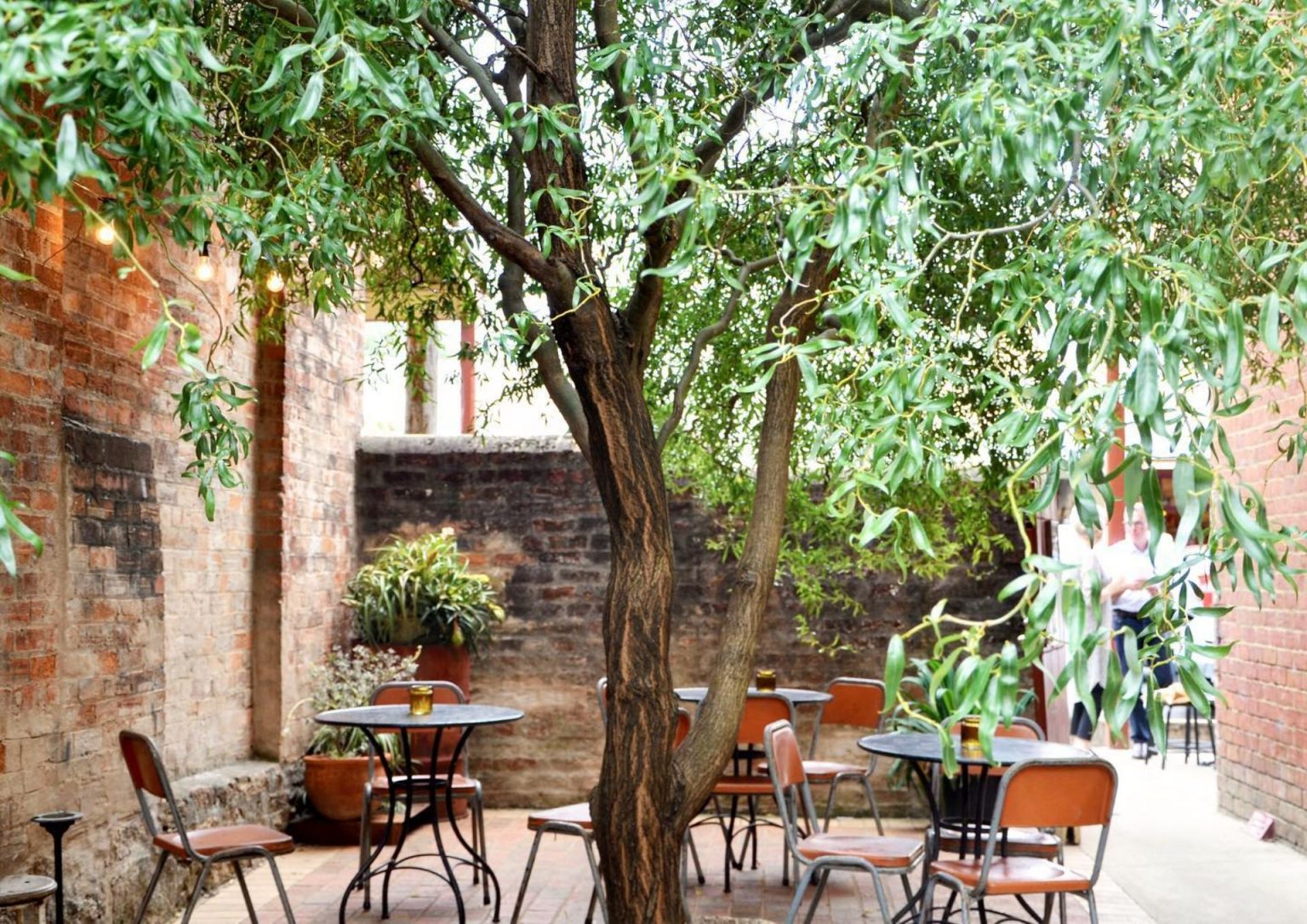 Beechworth Wineries 5 Stunning Cellar Doors Wine Regions Australia