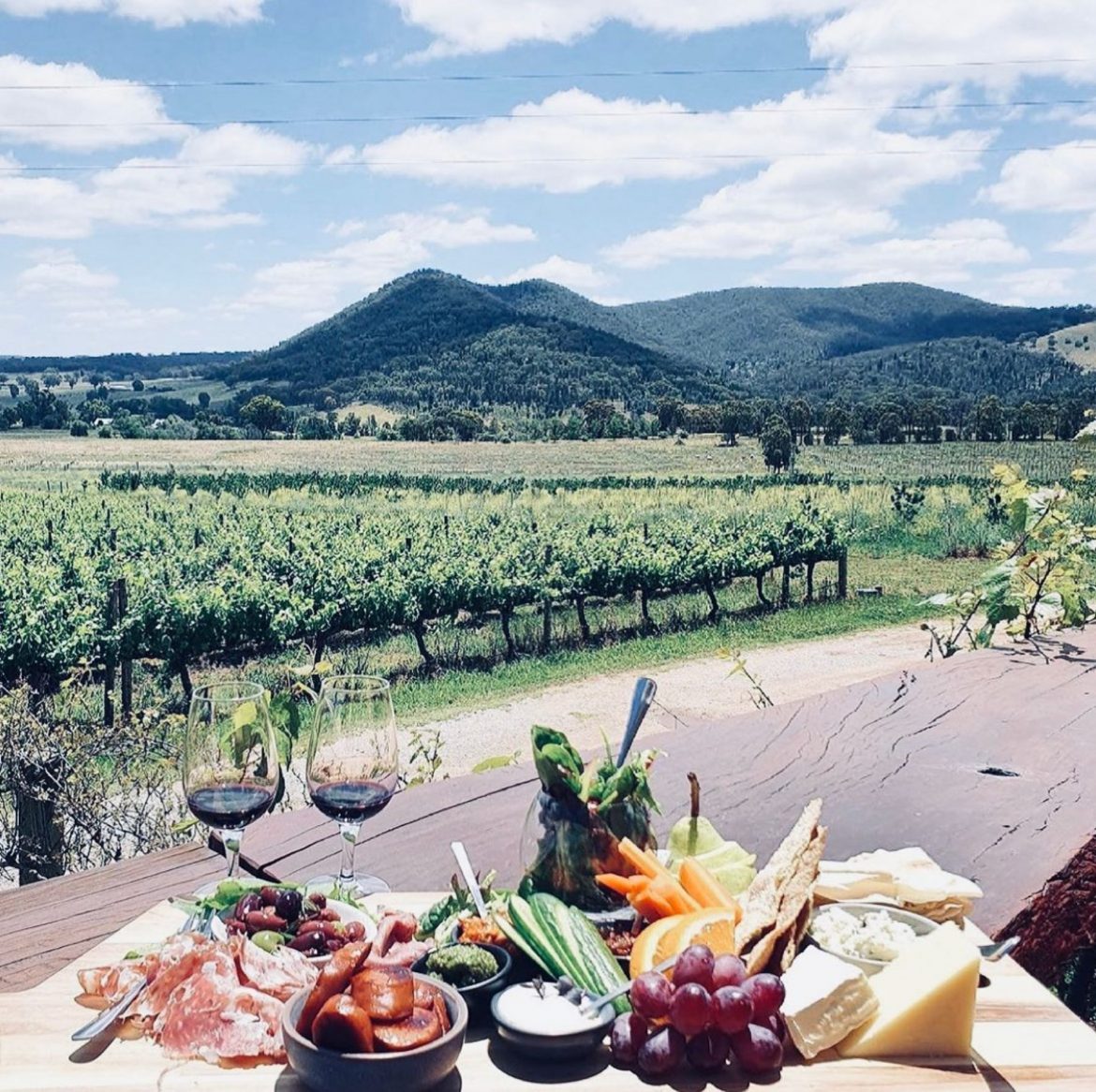 wine tour mudgee