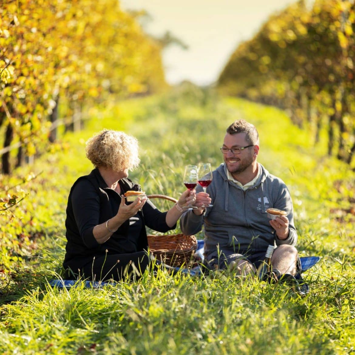Southern Highlands Wineries 8 Top Spots To Visit Wine Regions Australia