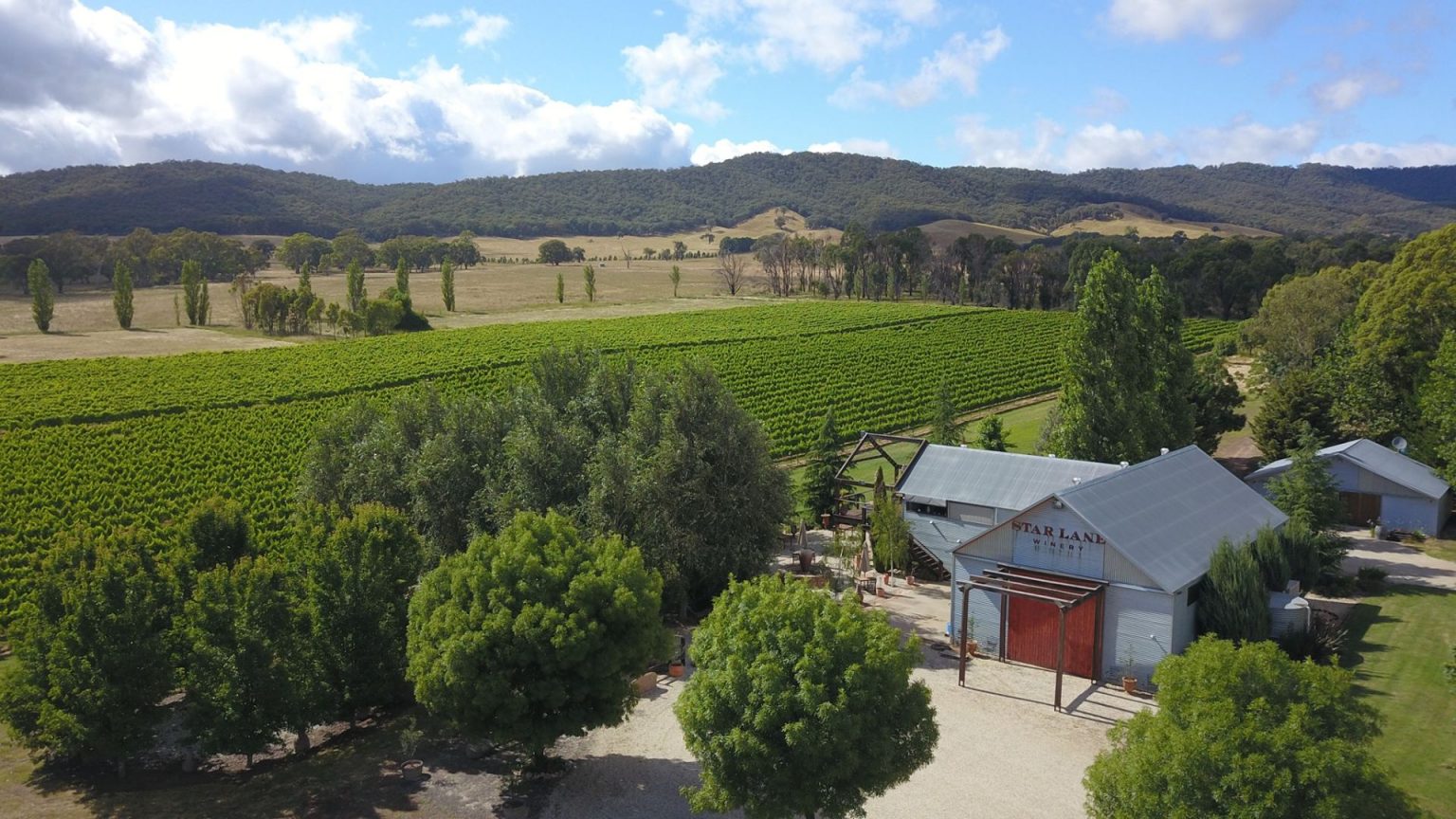Beechworth Wineries 5 Stunning Cellar Doors Wine Regions Australia