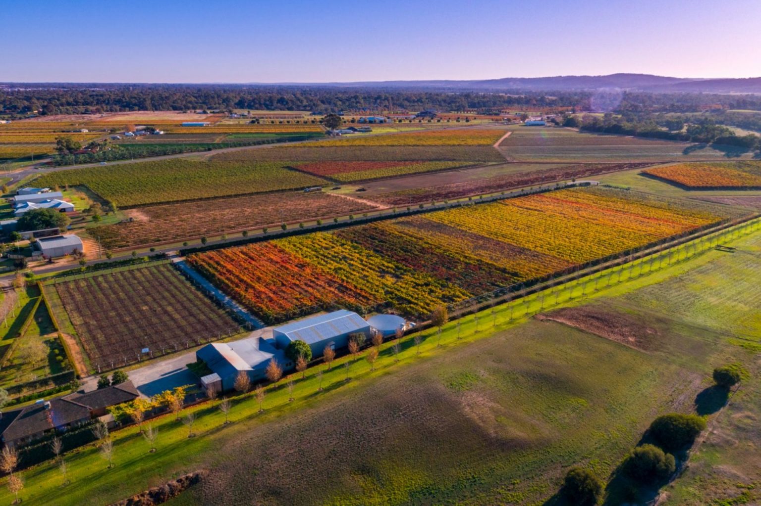 Swan Valley Wineries 8 Of Your Finest Estates