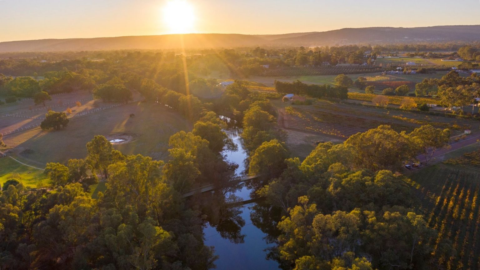 Swan Valley Wineries 8 Of Your Finest Estates Wine Regions Australia