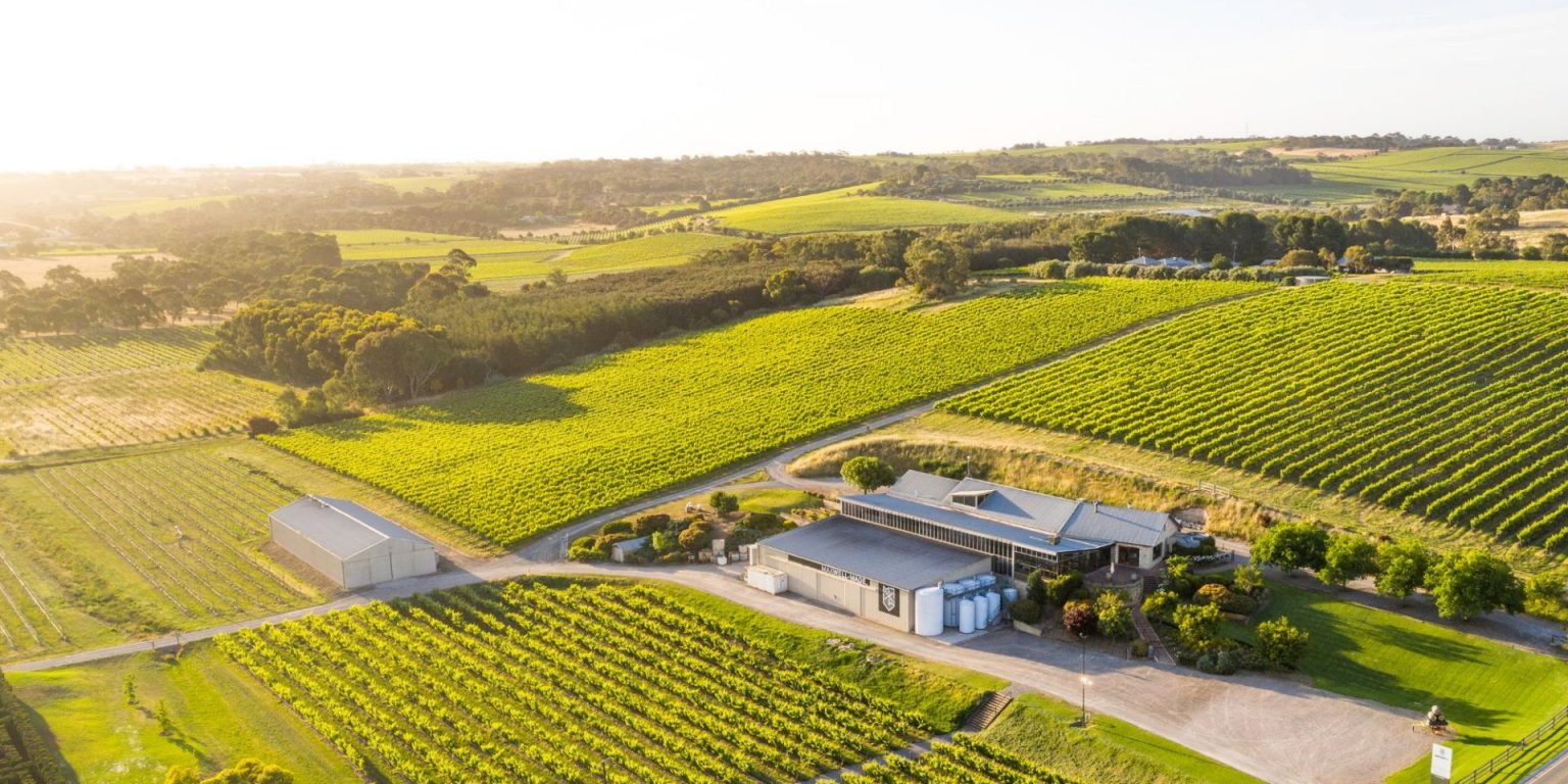 Winery Lunches In McLaren Vale Food For Thought Wine Regions Australia