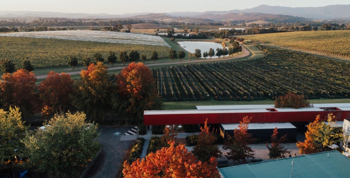 yarra valley winery restaurants
