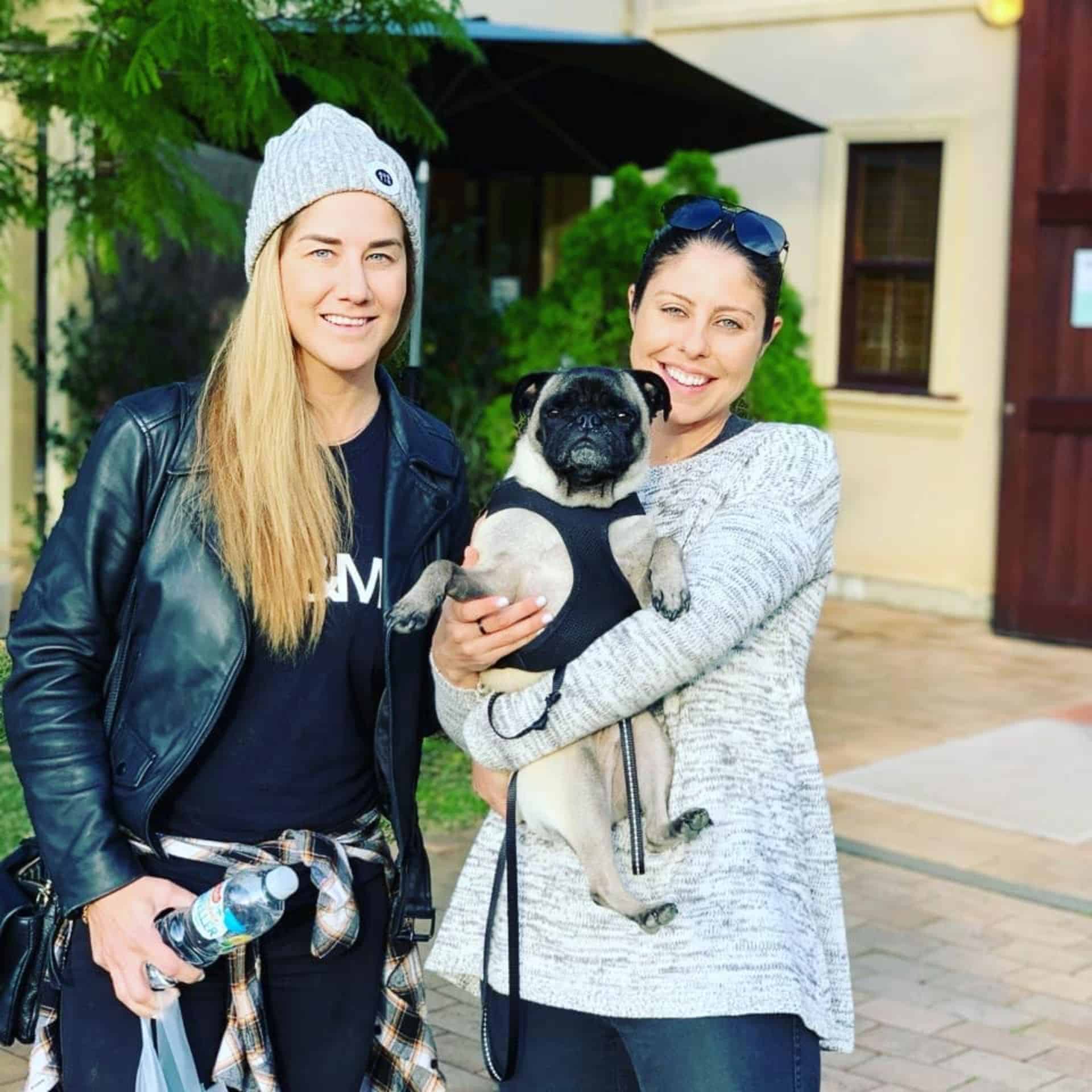 Dog Friendly Wineries Hunter Valley Wine Regions Australia