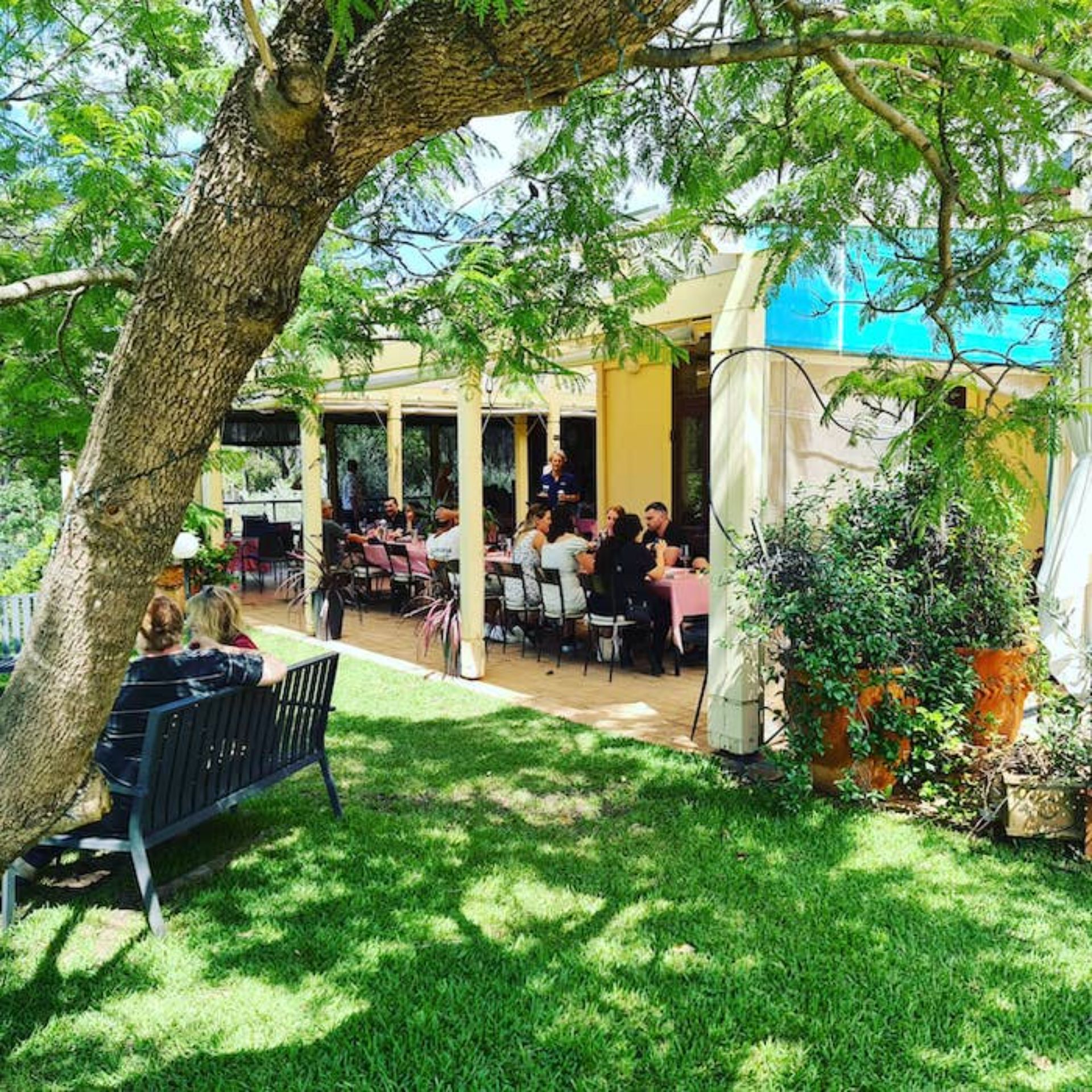 Dog Friendly Wineries Hunter Valley Wine Regions Australia