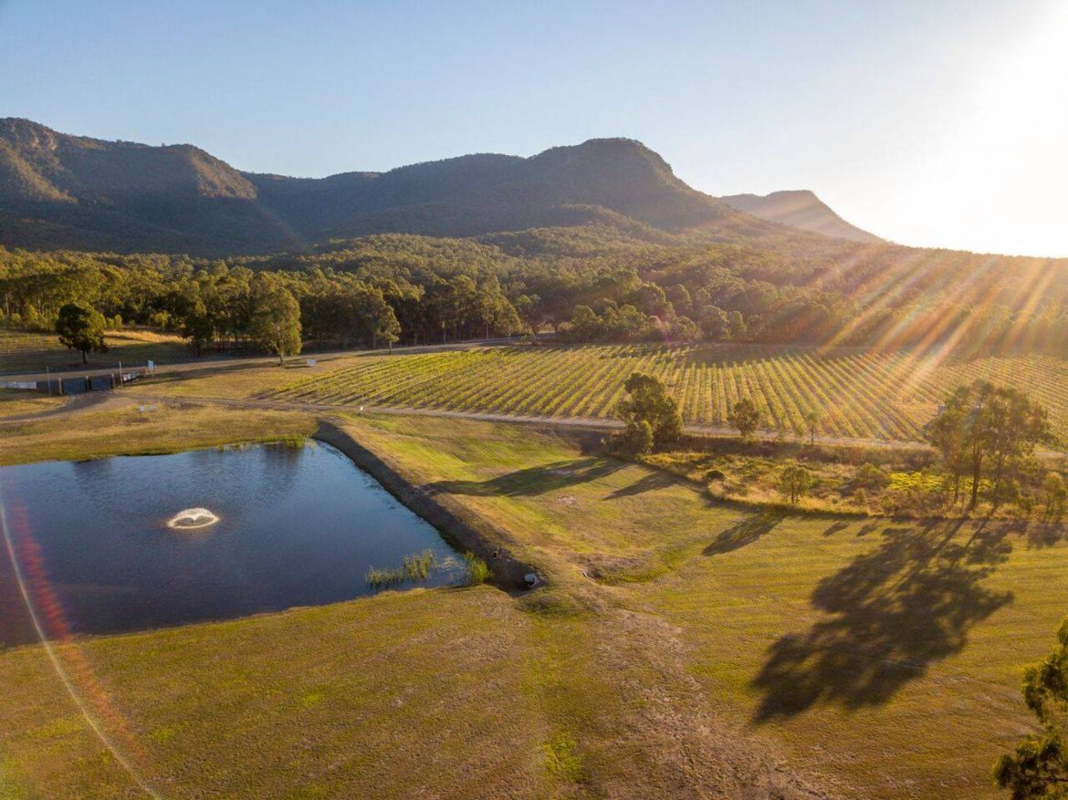 Dog Friendly Wineries Hunter Valley Wine Regions Australia