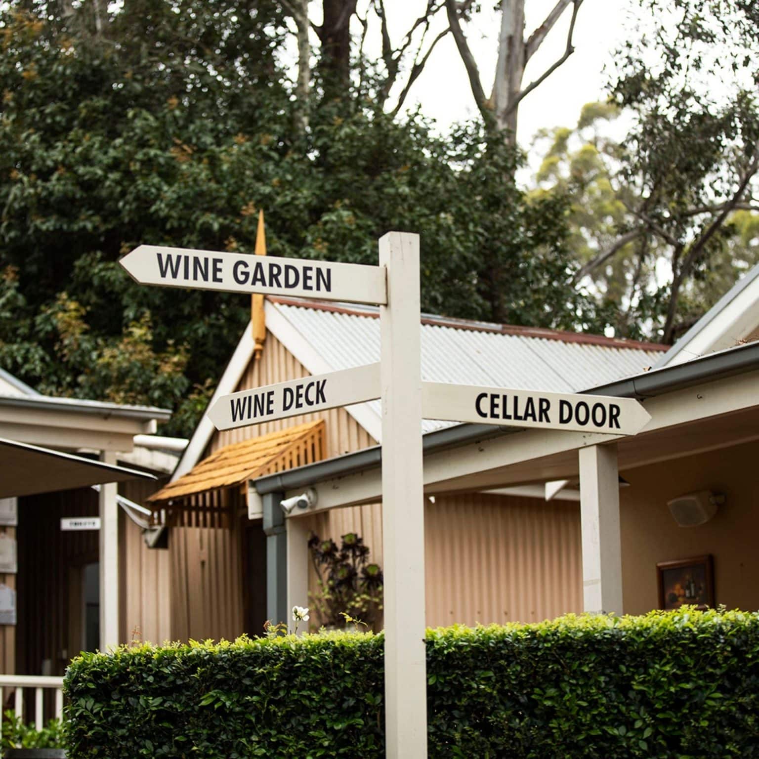 Boutique Wineries Hunter Valley Off The Beaten Track Wine Regions
