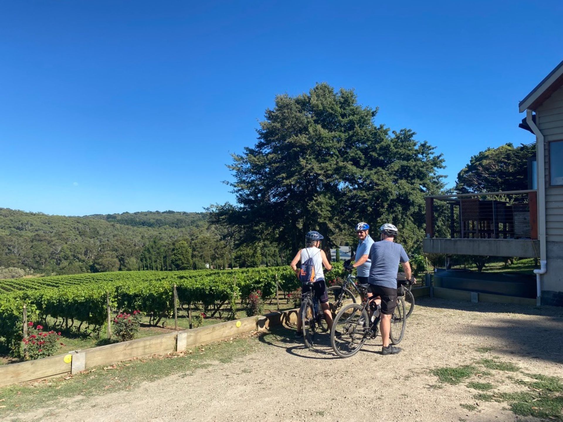 Our Pick Of Winery Tours On The Mornington Peninsula Wine Regions Australia