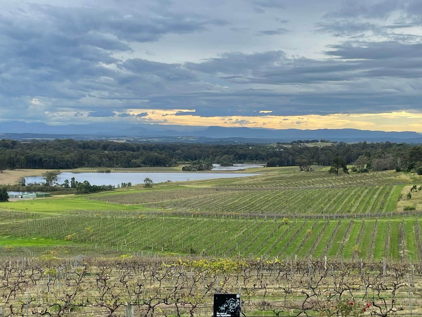 Hunter Valley Winery Tours That Are Bang For Your Buck