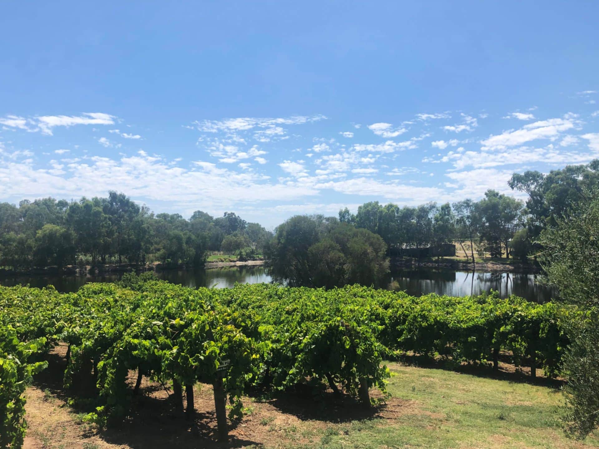 A Selection Of Swan Valley Wineries For Lunch