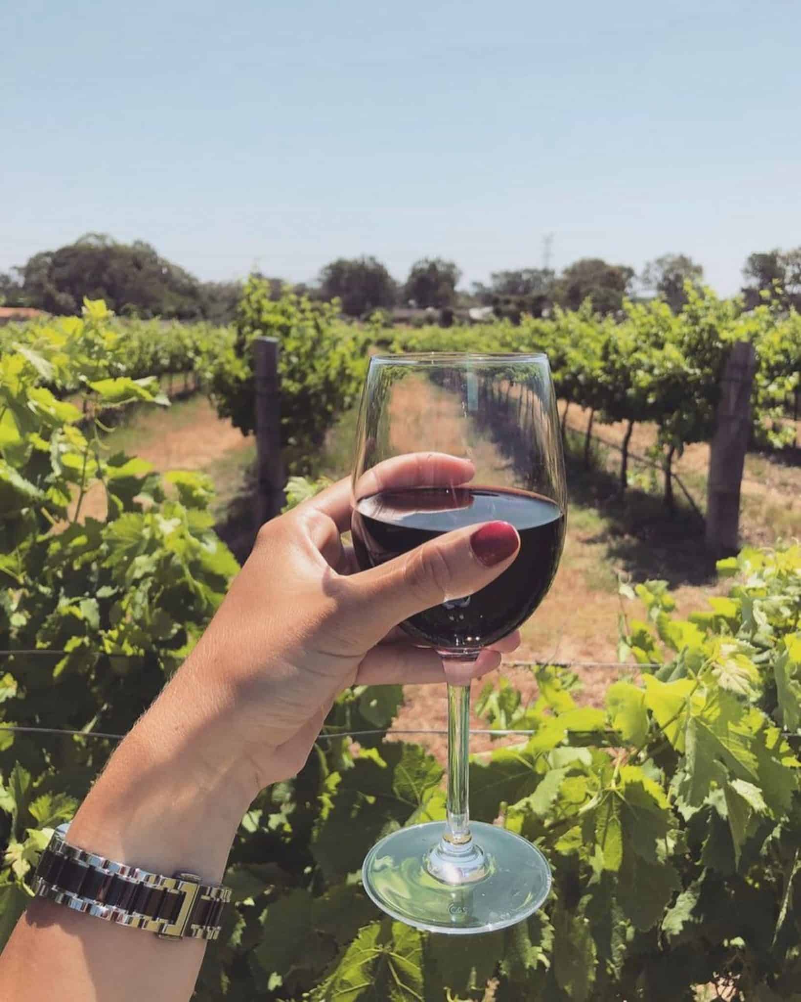 A Selection Of Swan Valley Wineries For Lunch