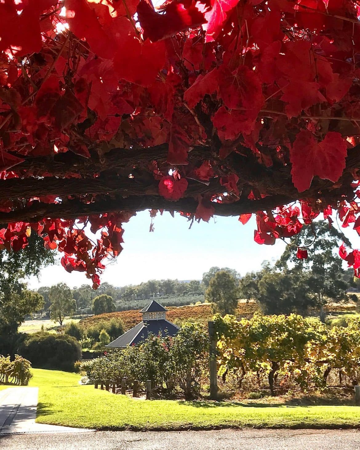 A Selection Of Swan Valley Wineries For Lunch